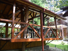 Vila Harmony Sinaia