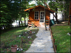 Vila Harmony Sinaia