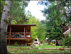 Vila Harmony Sinaia